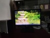 Dell E1916H 18.5 Led